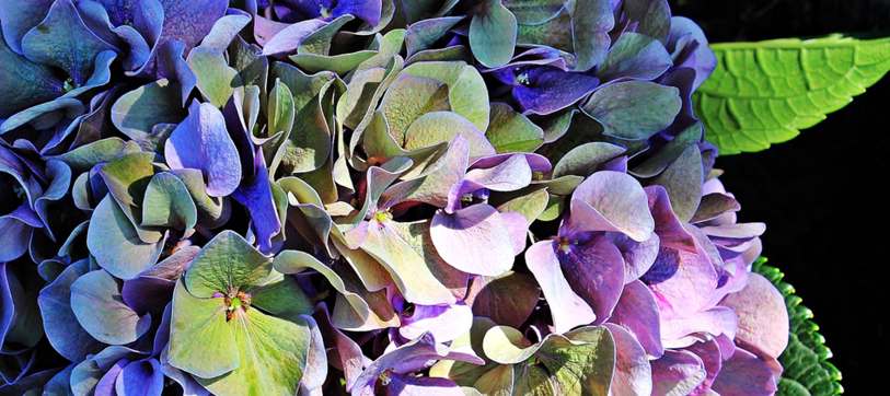 Vestido Ana Paula